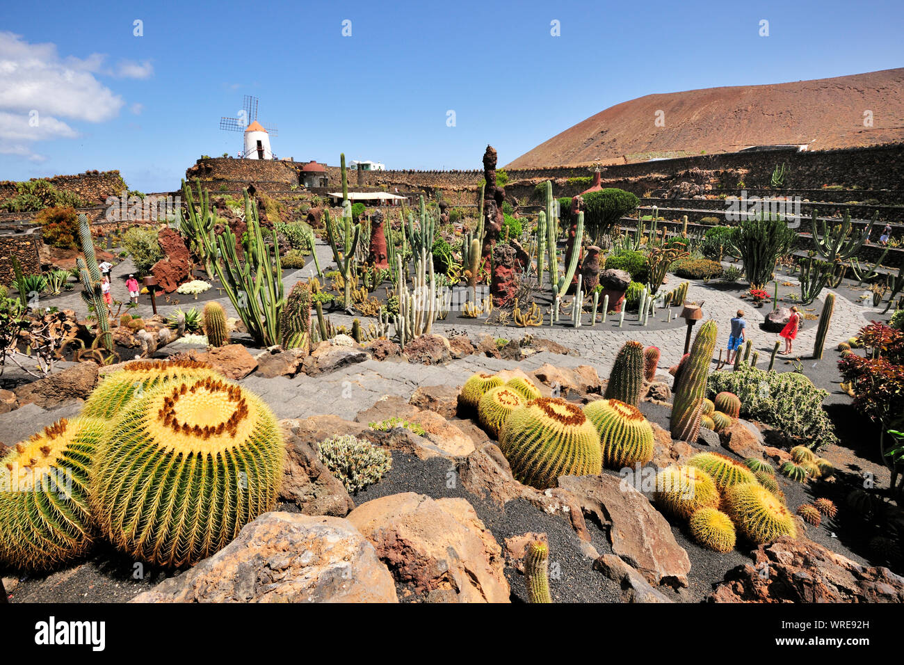 Jardin de Cactus (Cesar Manrique). Lanzarote, Kanarische Inseln. Spanien Stockfoto