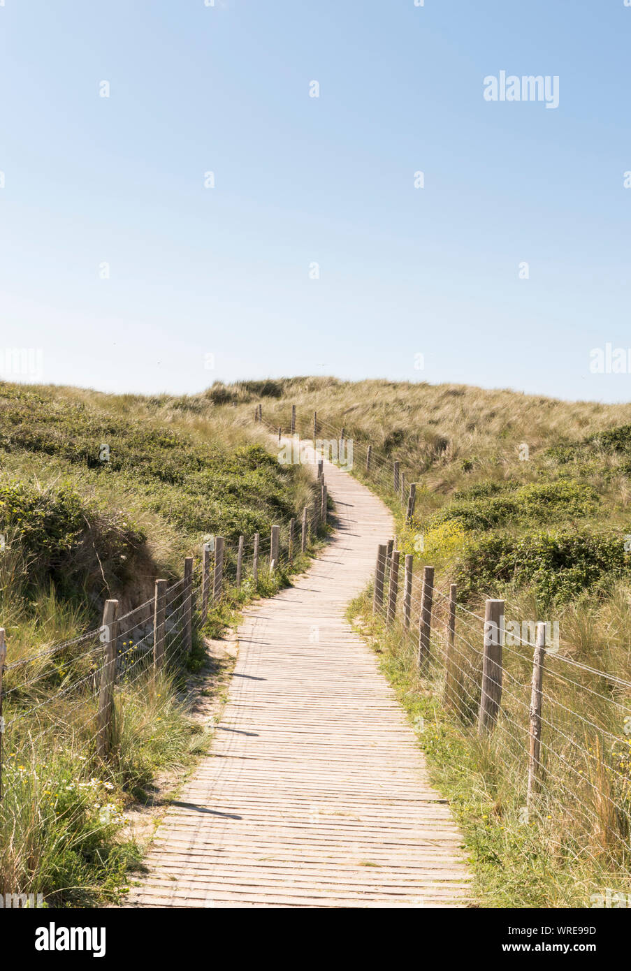 Promenade am Meer, godrevy Point, North Cornwall Stockfoto