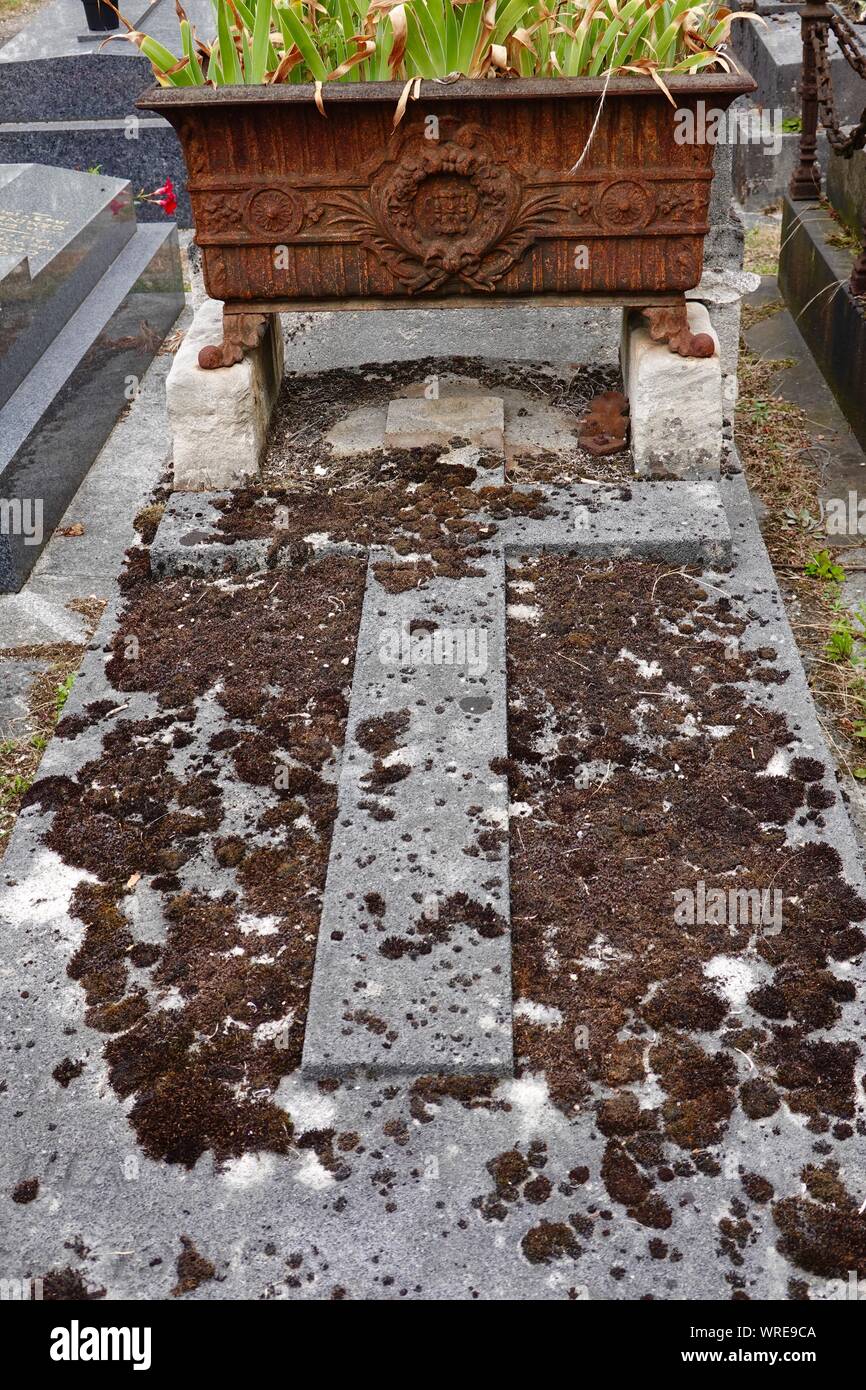 Moos, Granit Grab mit verrosteten Pflanzmaschine, Friedhof Père Lachaise, Paris, Frankreich Stockfoto