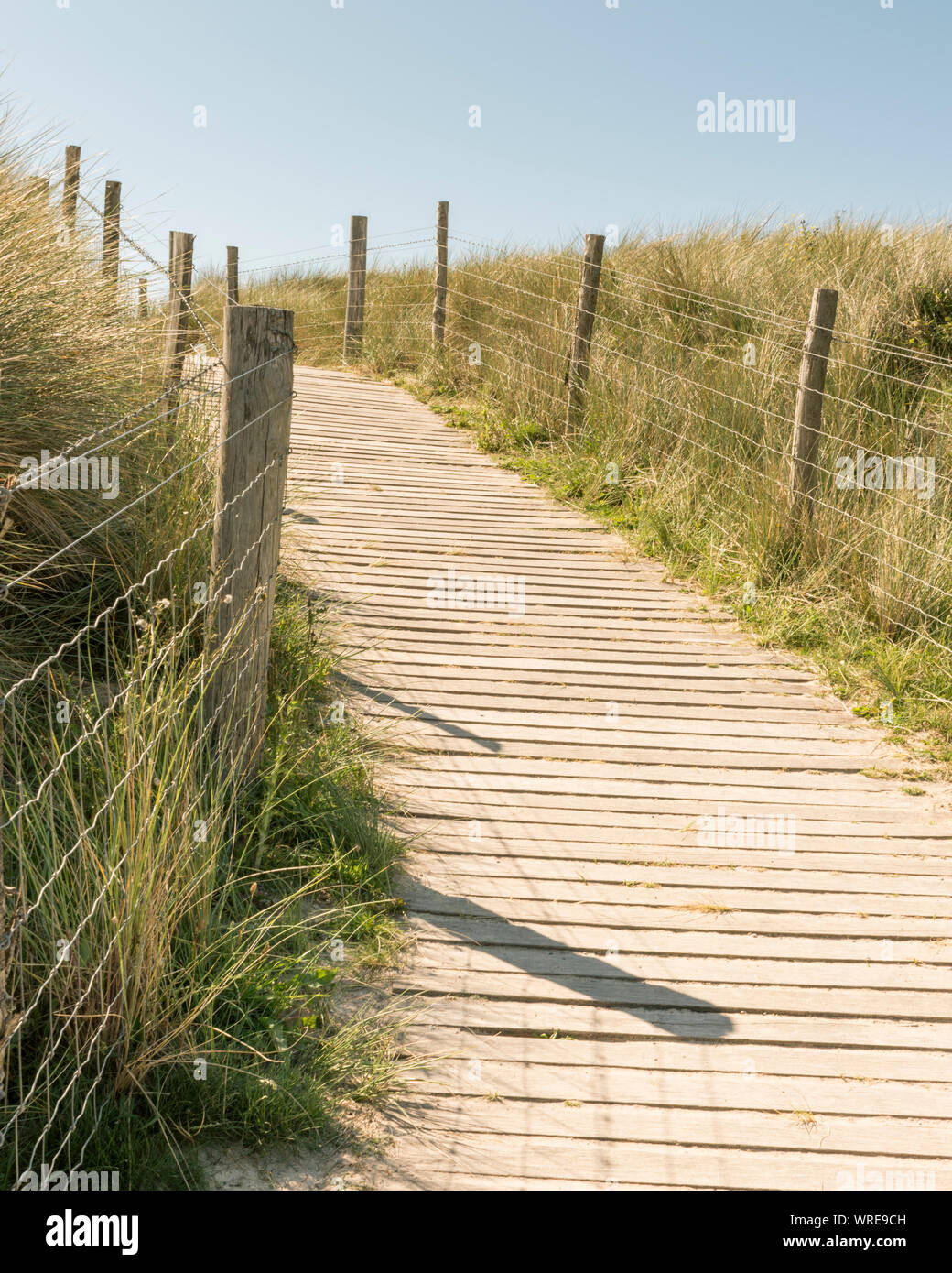 Promenade am Meer, godrevy Point, North Cornwall Stockfoto