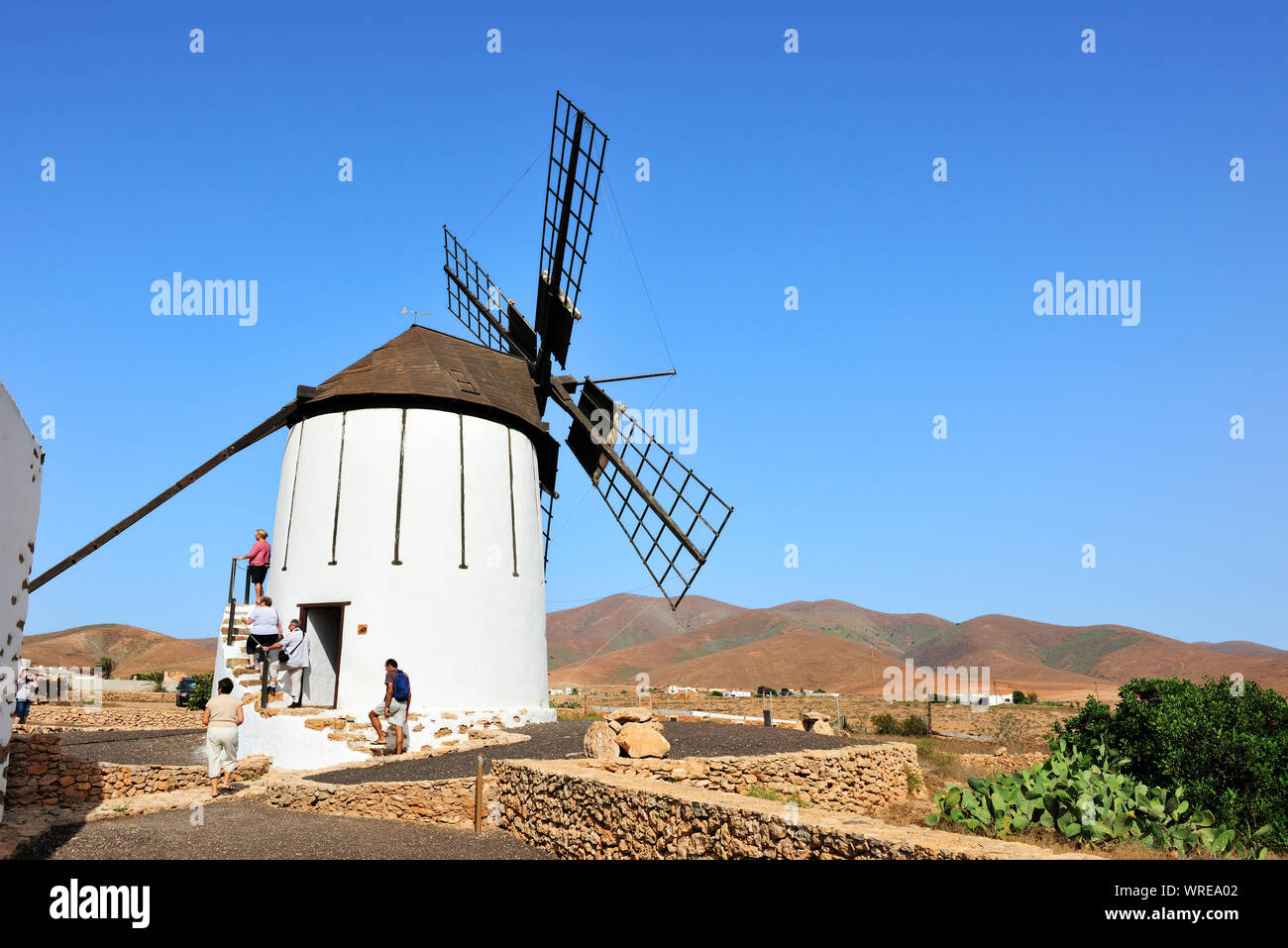 Windmühle in Tiscamanita. Fuerteventura, Kanarische Inseln. Spanien Stockfoto