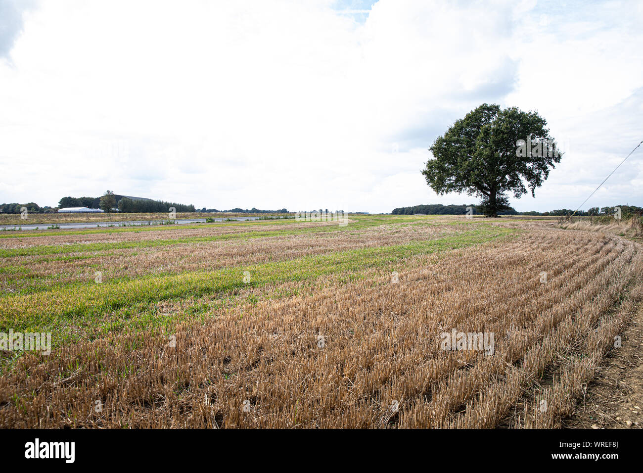 Wigginton Flugplatz in Hertfordshire Sept 10, 2019 Stockfoto