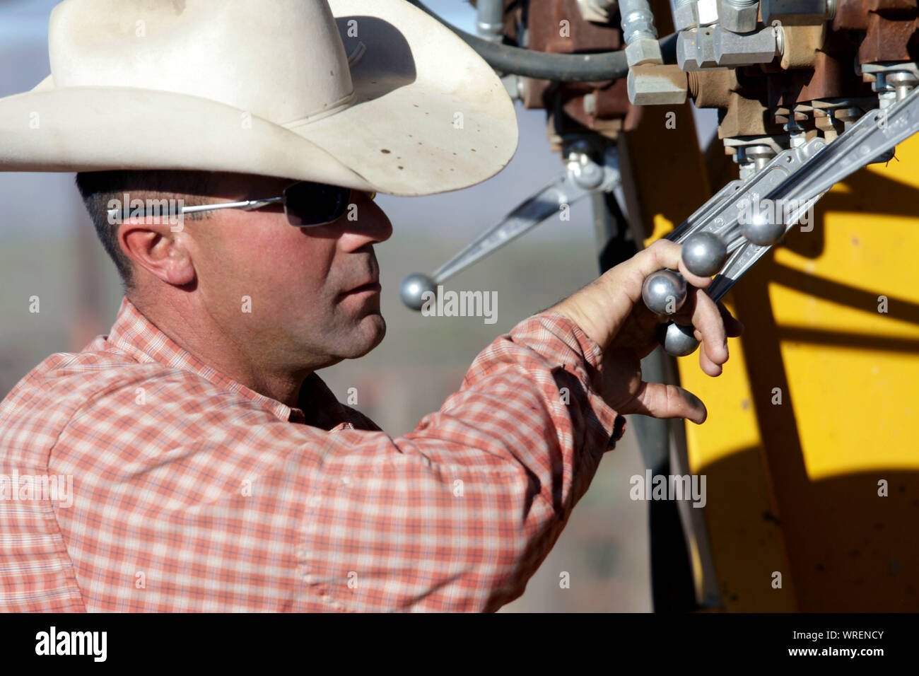 Vieh Branding auf einem entfernten West Texas Ranch. Stockfoto