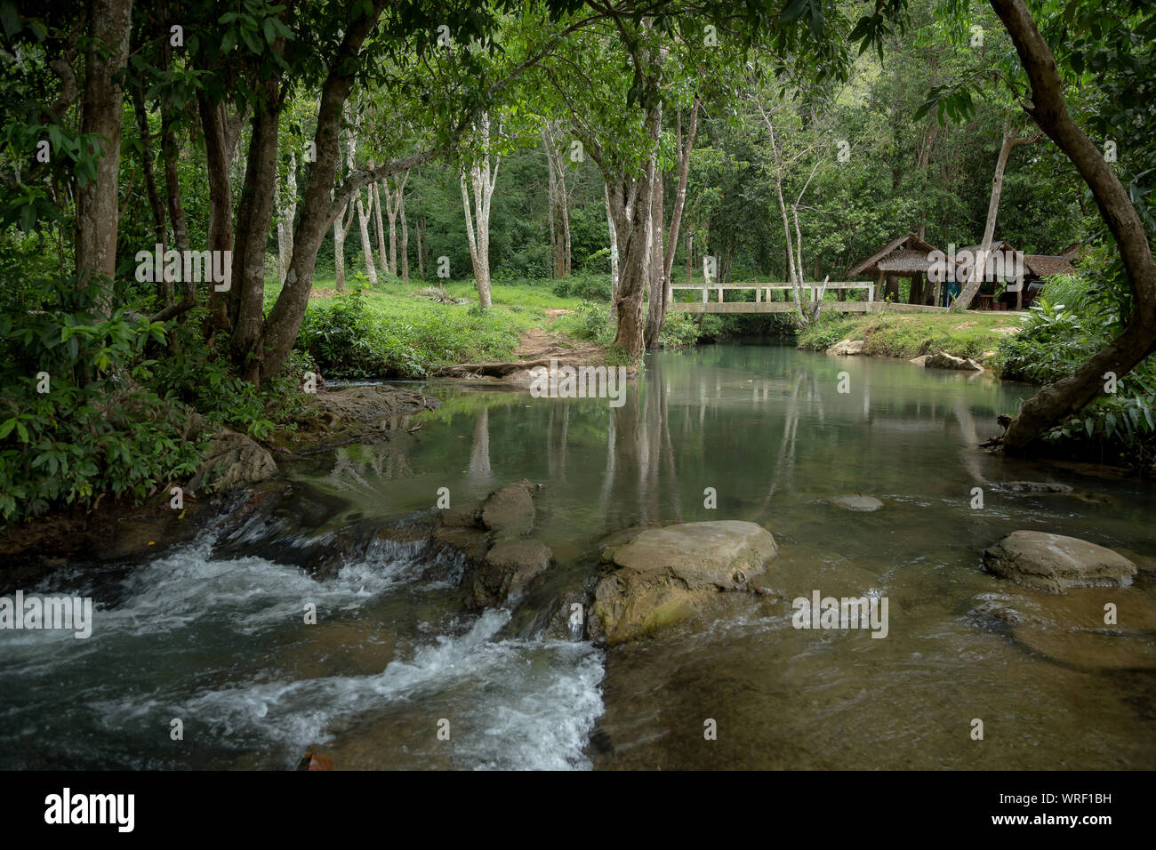 Schönen Fluss inmitten grüner Garten im Elephant Farm in Thailand. Regnerische Wetter im März, Krabi Stockfoto