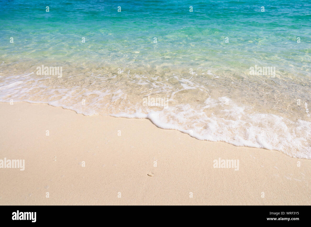 Weiche Welle der tropischen Meer auf der Coral sand Strand Stockfoto