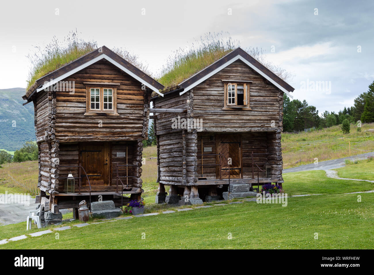 Traditionelle Holzhäuser mit Dach mit Gras, Pflanzen und Blumen in Oppdal in Norwegen, Skandinavien Stockfoto