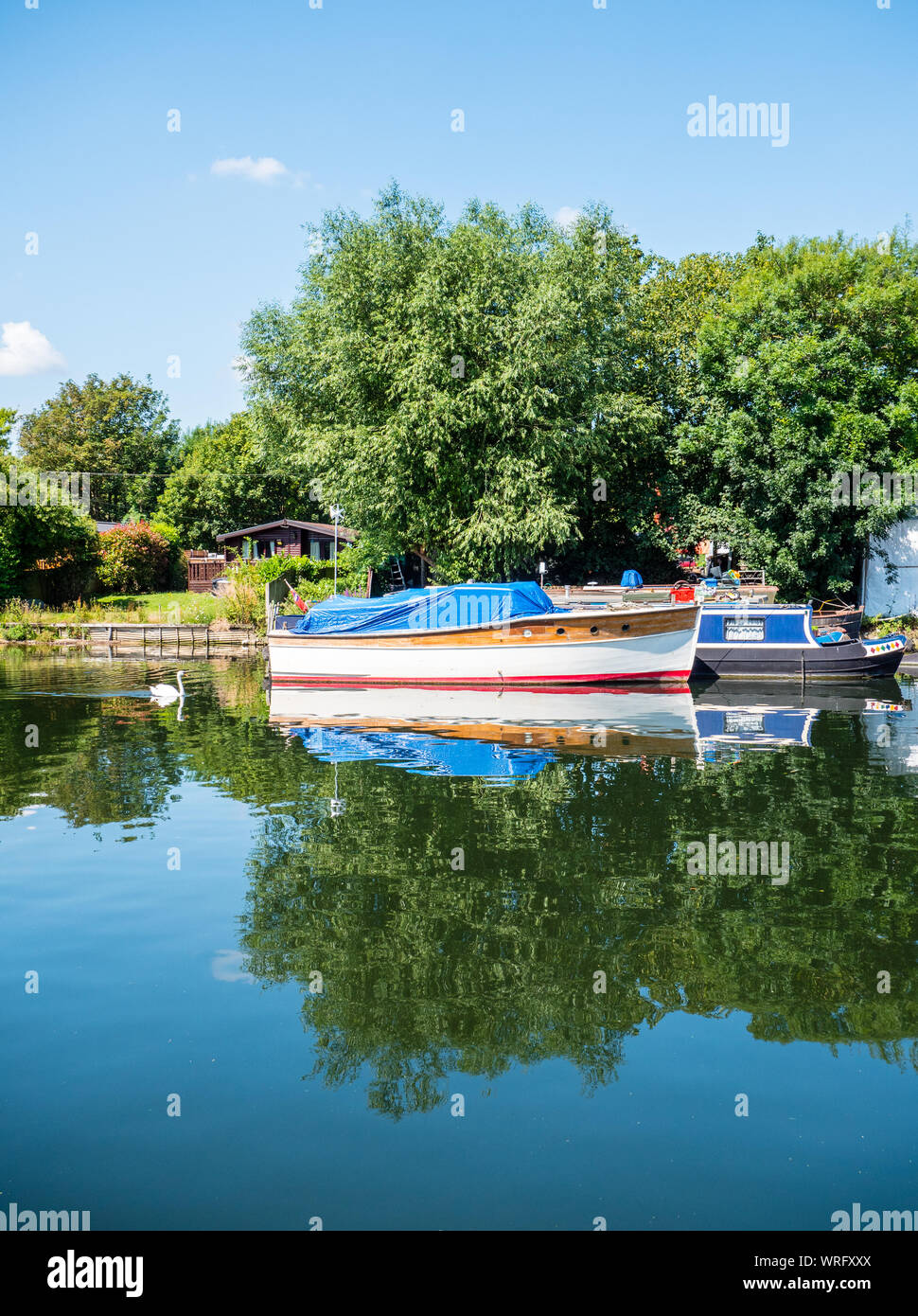 Schöne Landschaft, Chertsey, Surrey, Themse, England, UK, GB. Stockfoto