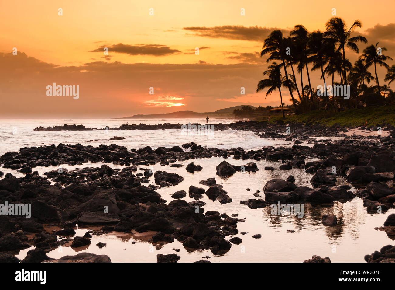 Palmen Silhouette gegen einen bunten tropischen Sonnenuntergang und in den Pazifischen Ozean auf der Insel Kauai, Hawaii, USA wider Stockfoto