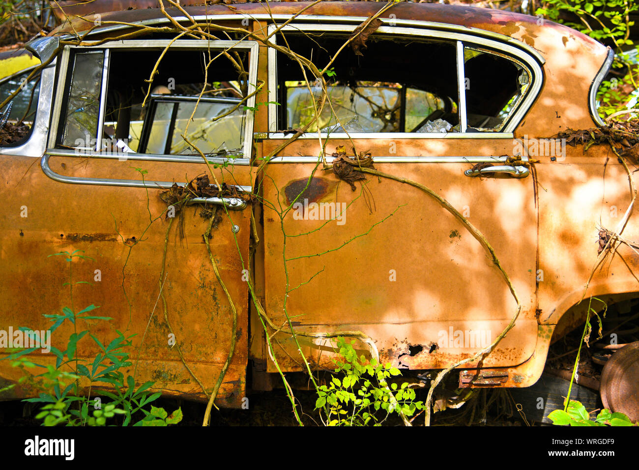 Nahaufnahme von der Seite eines alten Schrott Auto in einem Junk Yard Stockfoto