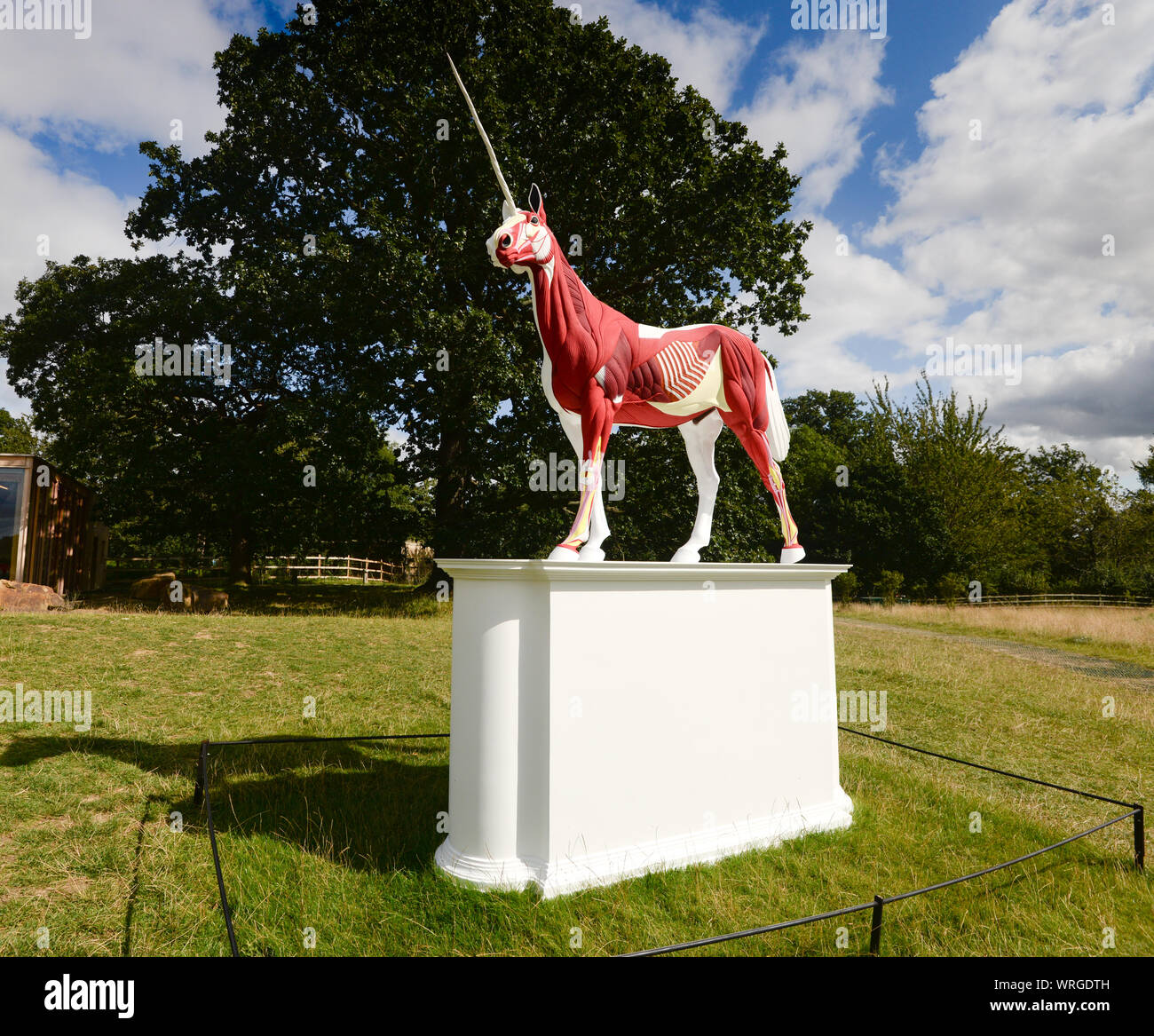 Yorkshire Sculpture Park - Mythos von Damien Hirst Stockfotografie - Alamy