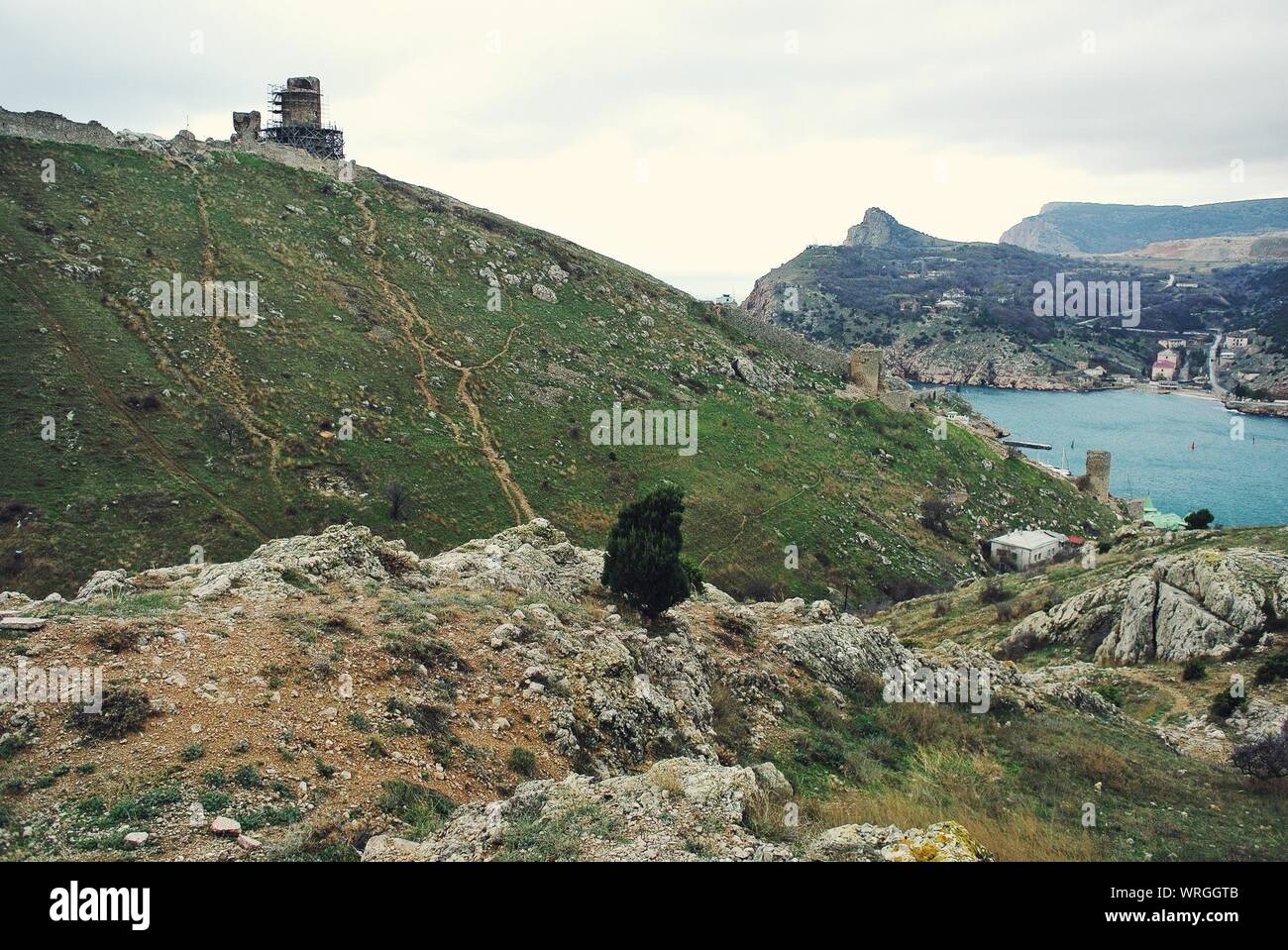 Steinige Küste mit Gras und Felsen Stockfoto