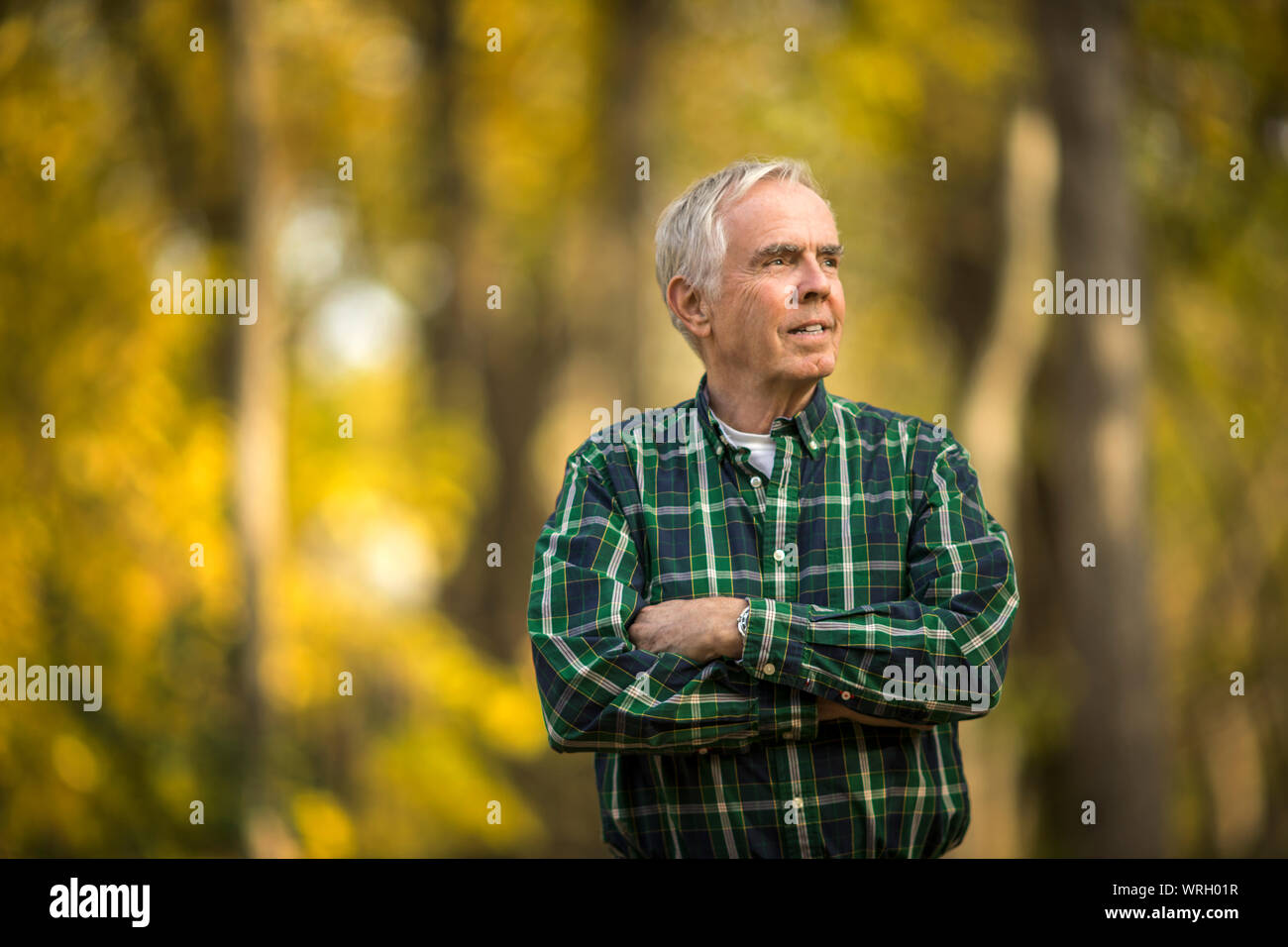 Älterer Mann im Wald. Stockfoto