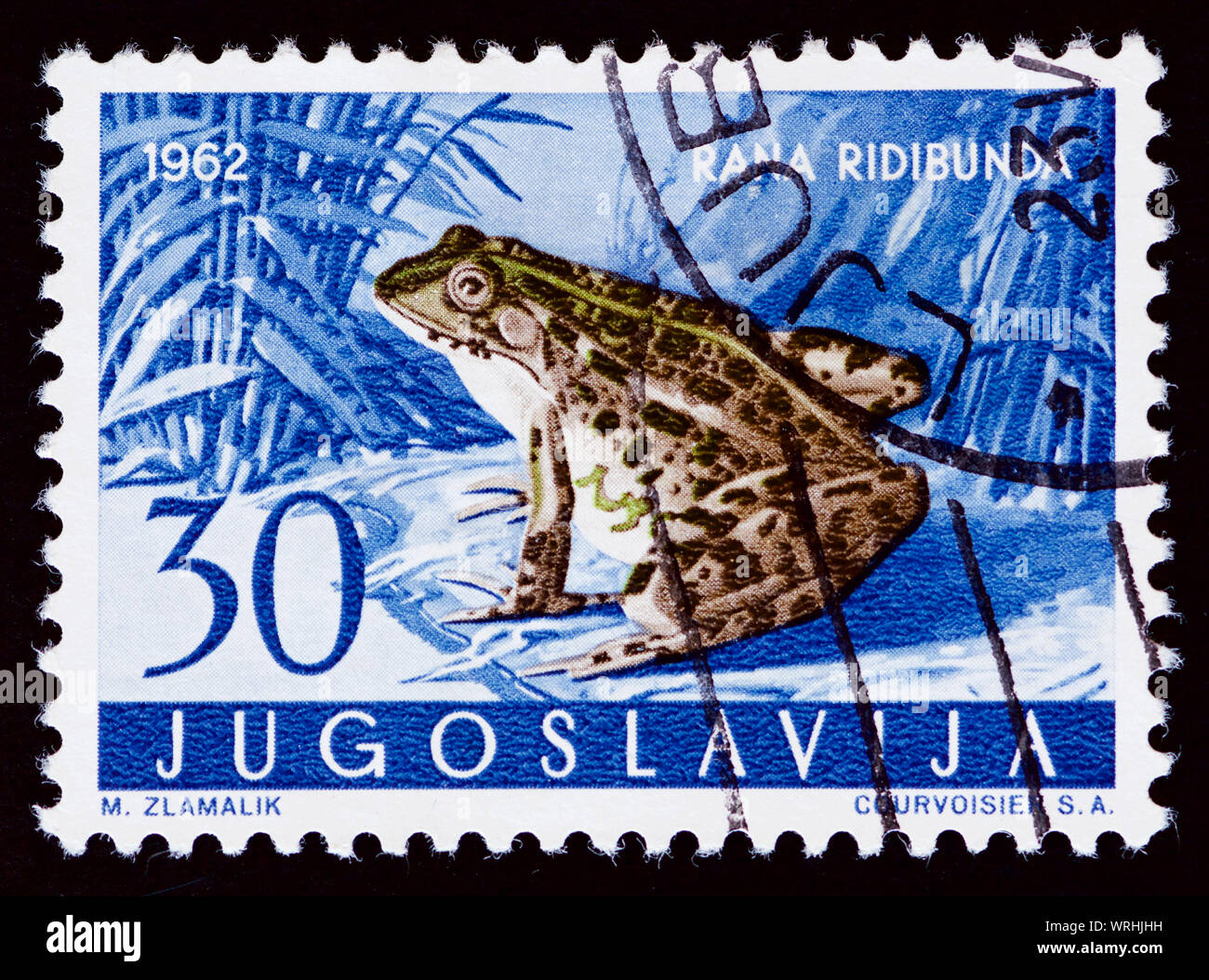 Jugoslawien Briefmarke - Levant Wasser Frosch (Rana ridibunda) Stockfoto