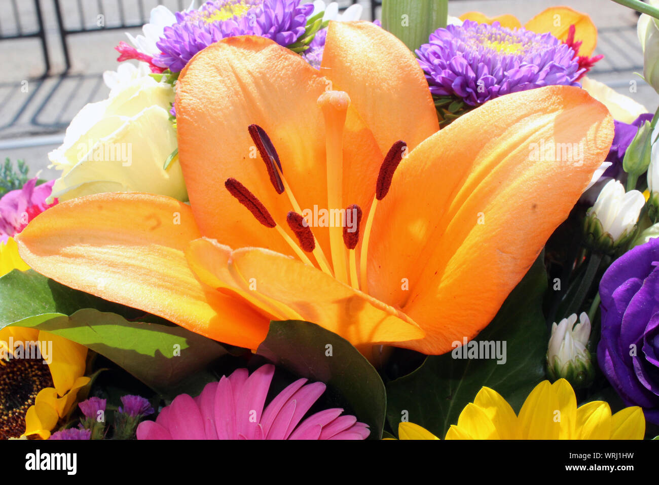 Bunt gemischt Blumenstrauß mit orange Lilie Nahaufnahme Stockfoto