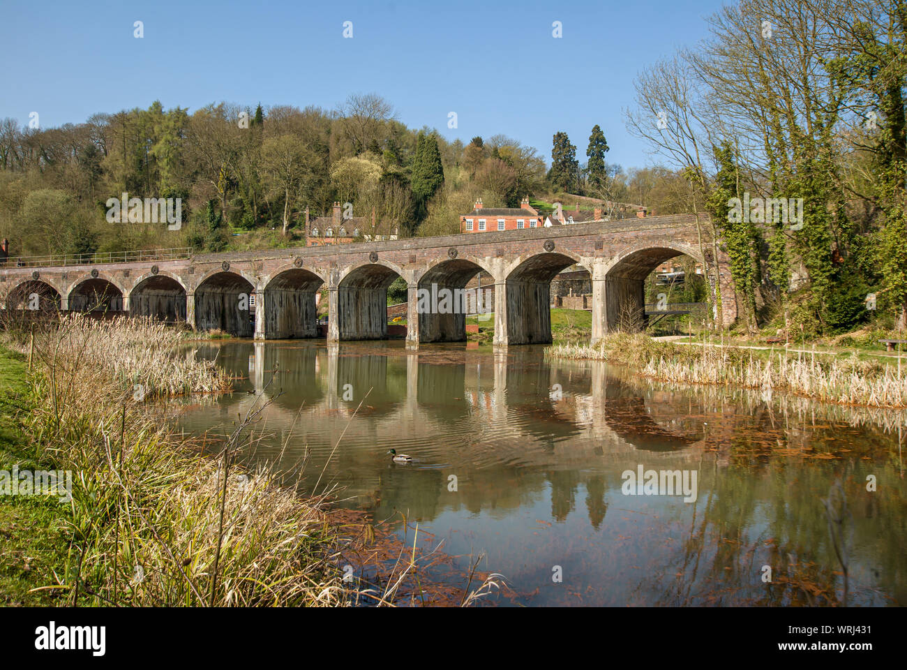 Das Eisenbahnviadukt überquert den Upper Furnace Pool bei Coalbrookdale in Shropshire Stockfoto