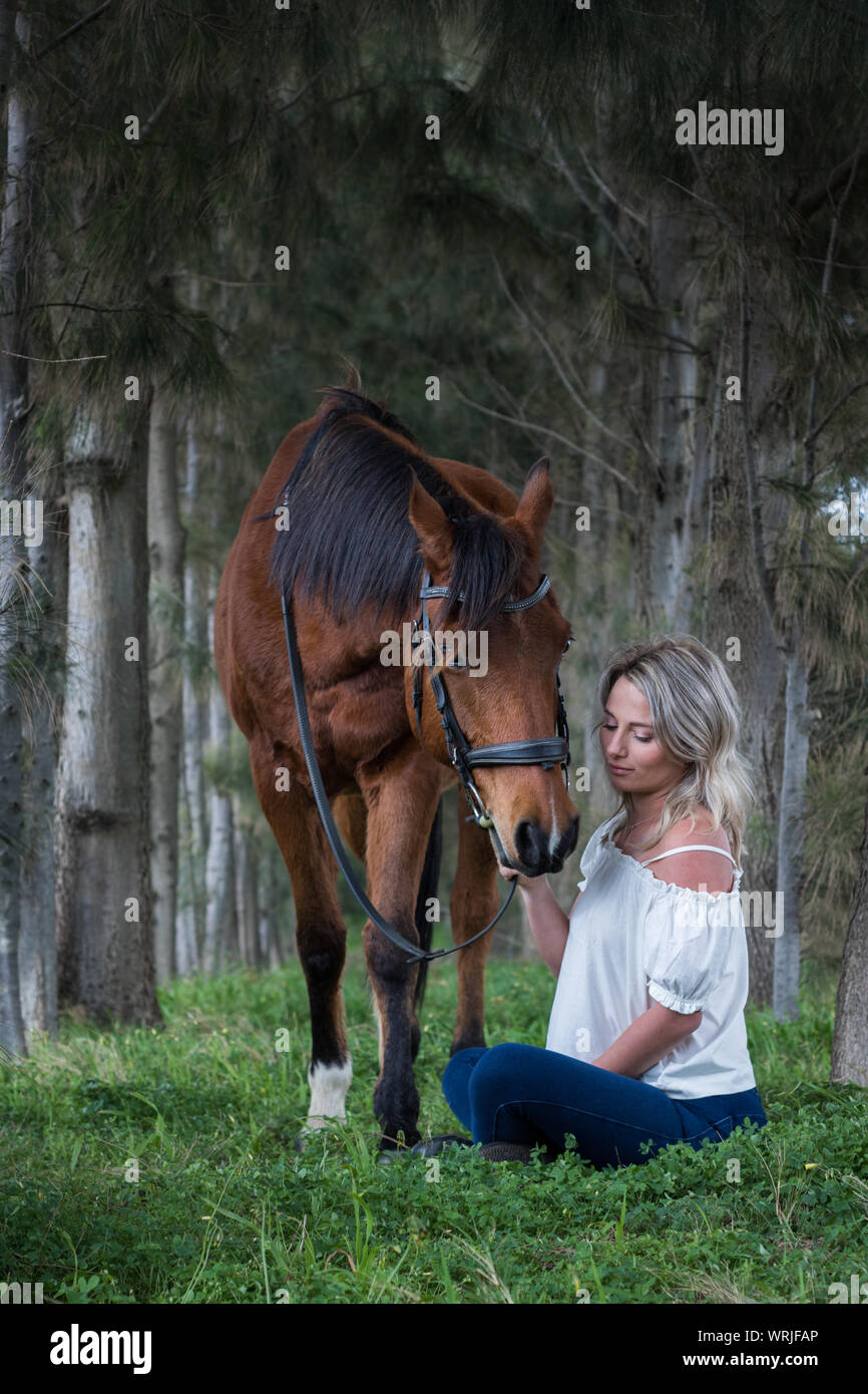 Frau Interaktion mit Ihrem Kastanie arabische Pferd, sitzen auf den Waldboden durch hohe Bäume, im Freien umgeben. Stockfoto