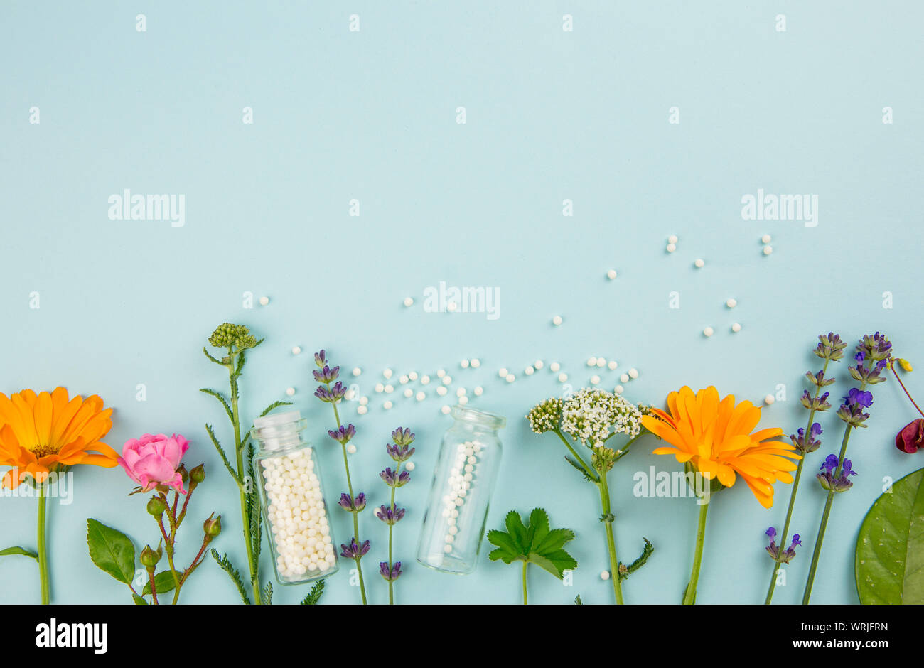 Flach anzeigen die homöopathische Medizin Pillen in Töpfen und um verschüttete auf hellblauem Hintergrund, mit frischen verschiedene Kräuter und Pflanzen, Blumen dekoriert. Stockfoto