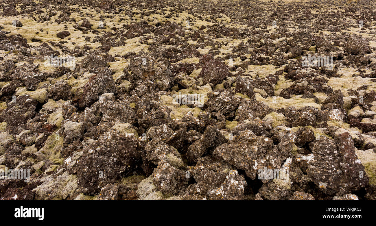 Halbinsel Snaefellsnes, ISLAND - Lavafeld. Stockfoto