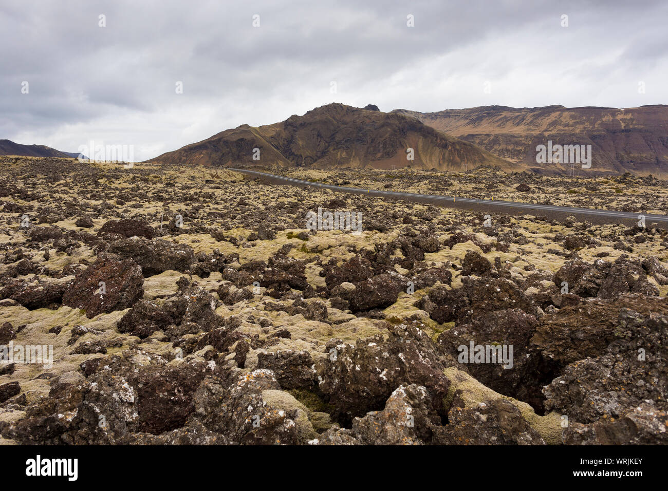 Halbinsel Snaefellsnes, ISLAND - Lavafeld. Stockfoto