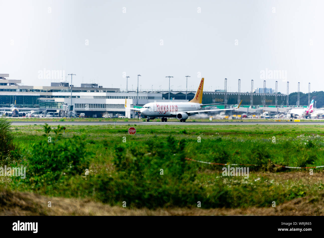 Köln - Bonn, Nordrhein - Westfalen, Flughafen, Deutschland - 28. AUGUST 2019, Pegasus Airlines Boeing 737-800 startet am Köln Bonn Airport in Deutschland Stockfoto