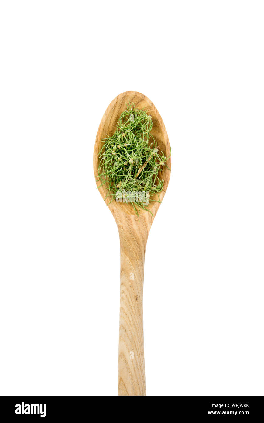 Ansicht von oben Haufen getrockneter natürliche pflanzliche Heilmittel genannt Equisetum arvense Der ackerschachtelhalm oder zinnkraut auf Holzlöffel isoliert auf weißem backgr Stockfoto