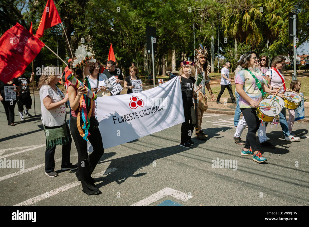 Menge in den Straßen marschieren für Amazonien und weniger Pestizide in einem pro Umwelt Protest während der brasilianischen Unabhängigkeitstag Stockfoto