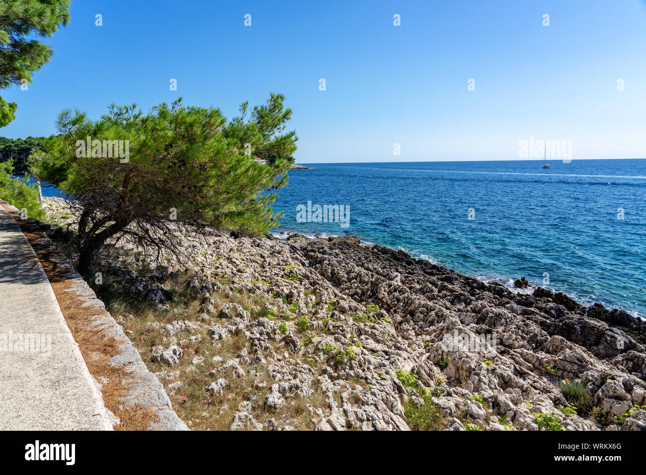 Cikat forest park Strand Gehweg mit einem Baum durch den Wind geblasen Stockfoto