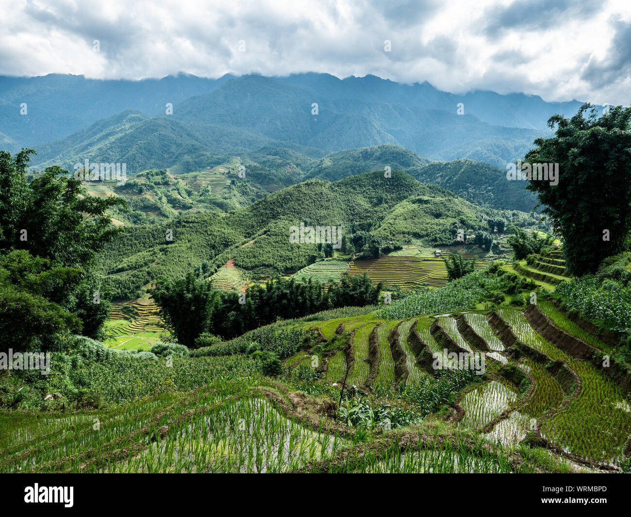 Vietnam Sapa Reisfelder schöne Aussicht Stockfoto