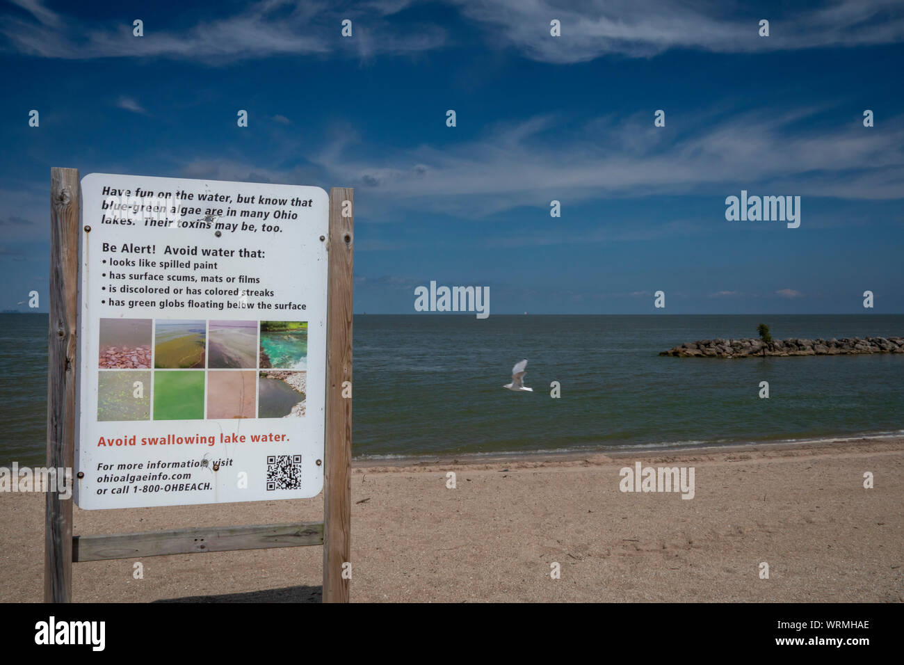 Delaware, Ohio - ein Schild warnt der blau-grünen Algen im Wasser des Lake Erie bei Maumee Bay State Park. Vor allem durch Phosphor verursacht Abfluss von agricultu Stockfoto