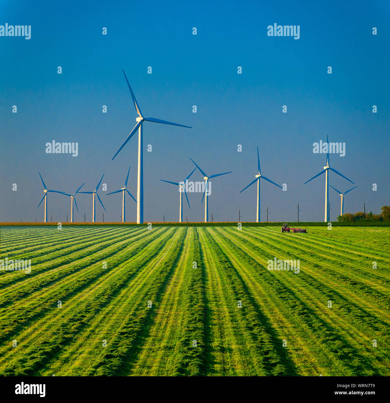 Traktor Landwirtschaft ein grünes Feld unter großen Windkraftanlagen. Stockfoto