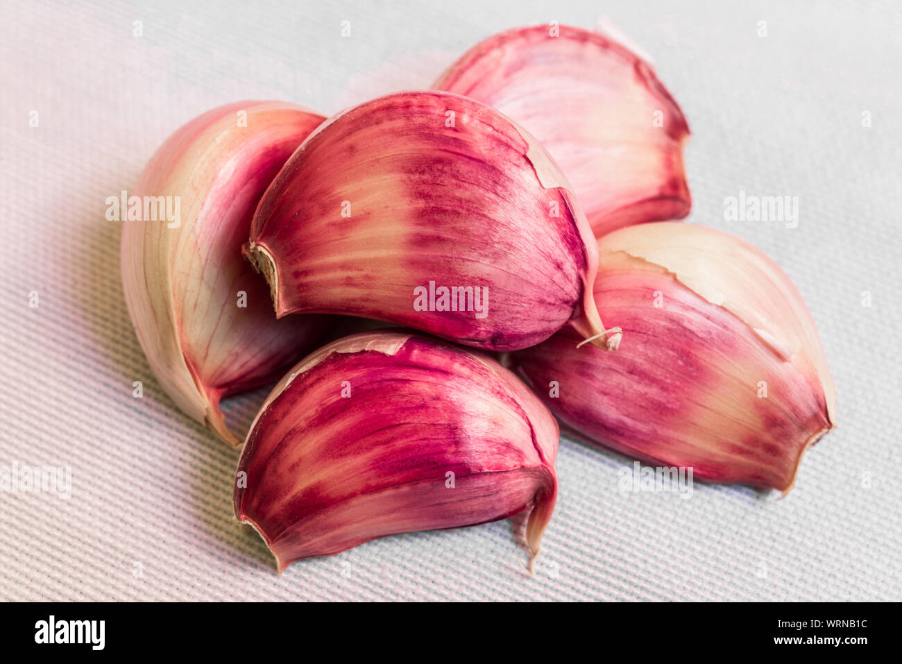 Nahaufnahme Makro Foto eines frischen bunten Knoblauchzehe isoliert auf Weiss. Stockfoto