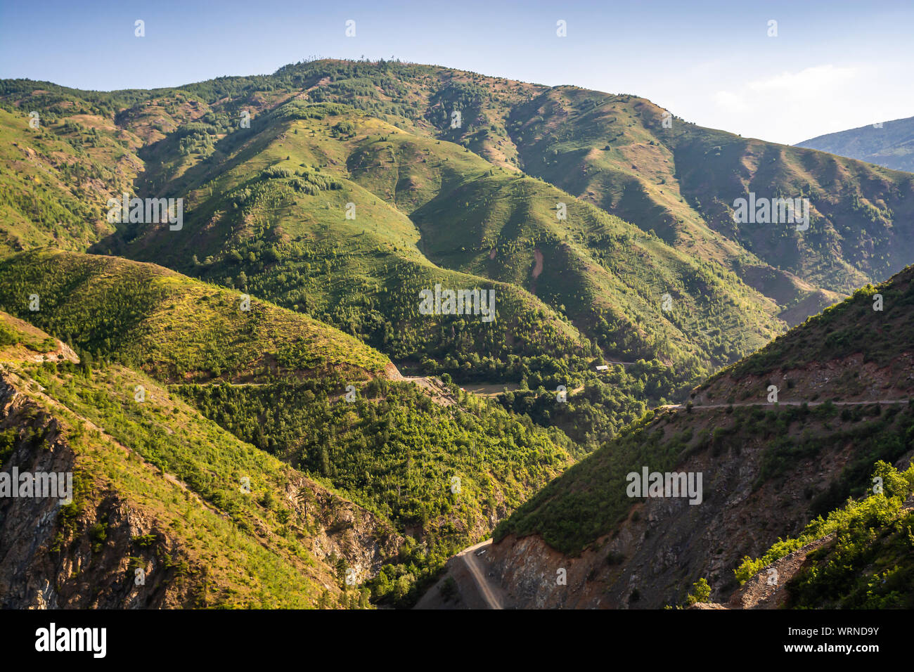 Grünen Hügeln um Kunora Dardhes in Albanien in Fierza Stockfoto