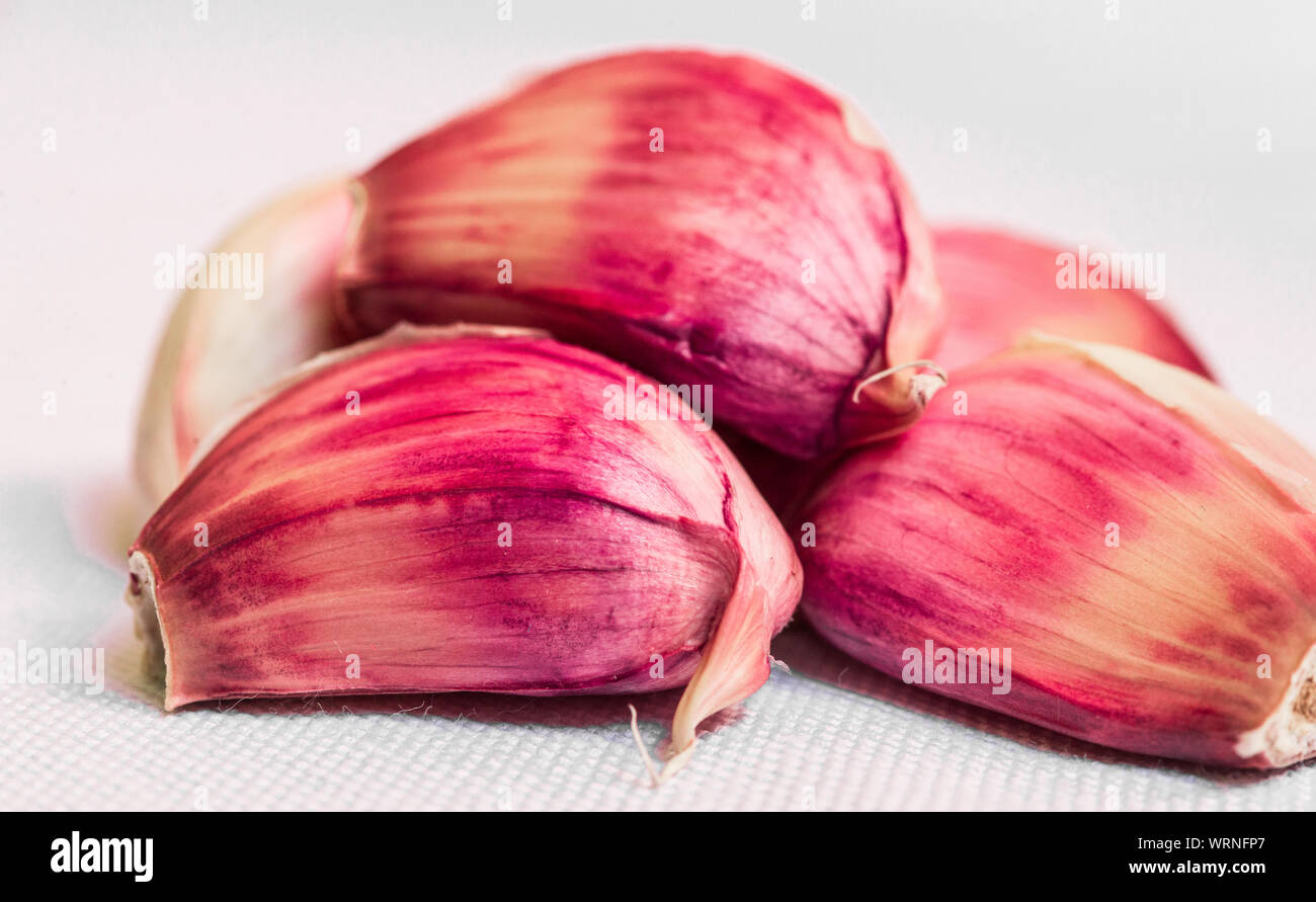Nahaufnahme Makro Foto eines frischen bunten Knoblauchzehe isoliert auf Weiss. Stockfoto
