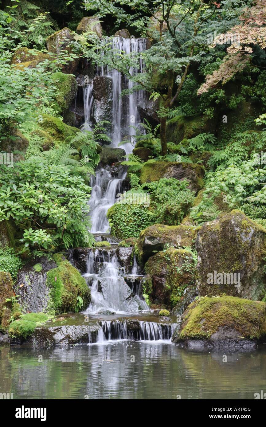 Wasserfall im Japanischen Garten, Portland Stockfoto