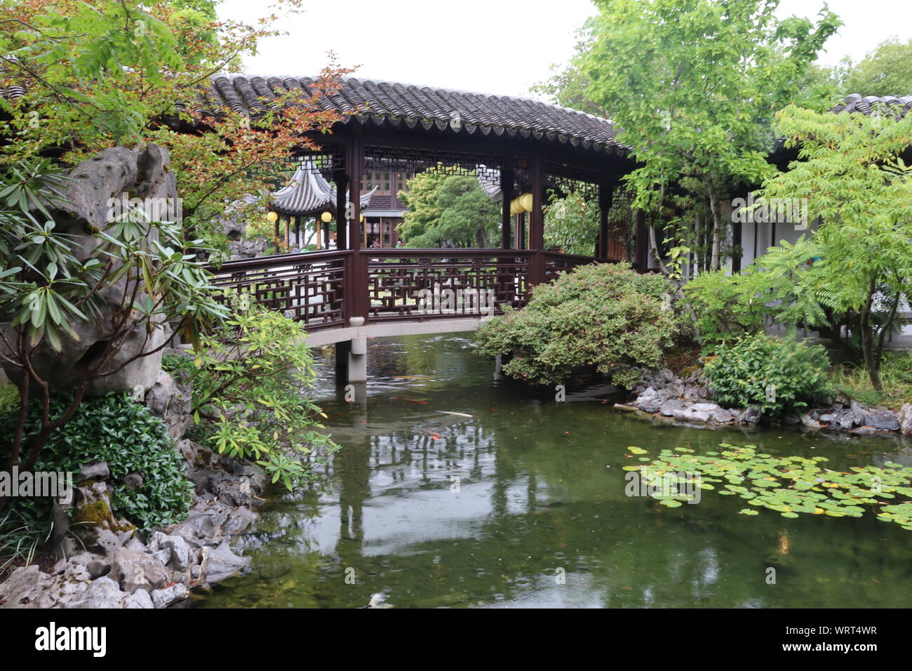 Chinese garden bridge Fotos und Bildmaterial in hoher Auflösung Alamy