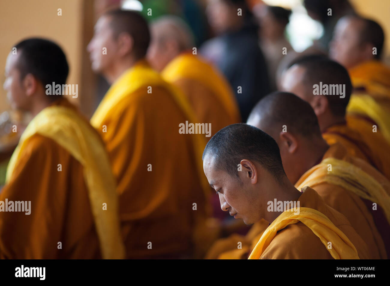 Ein tibetisch-buddhistischer Mönch tief in während einer Zeremonie in Dharamsala, der Hauptstadt der Tibeter im Exil, Indien gedacht. Stockfoto