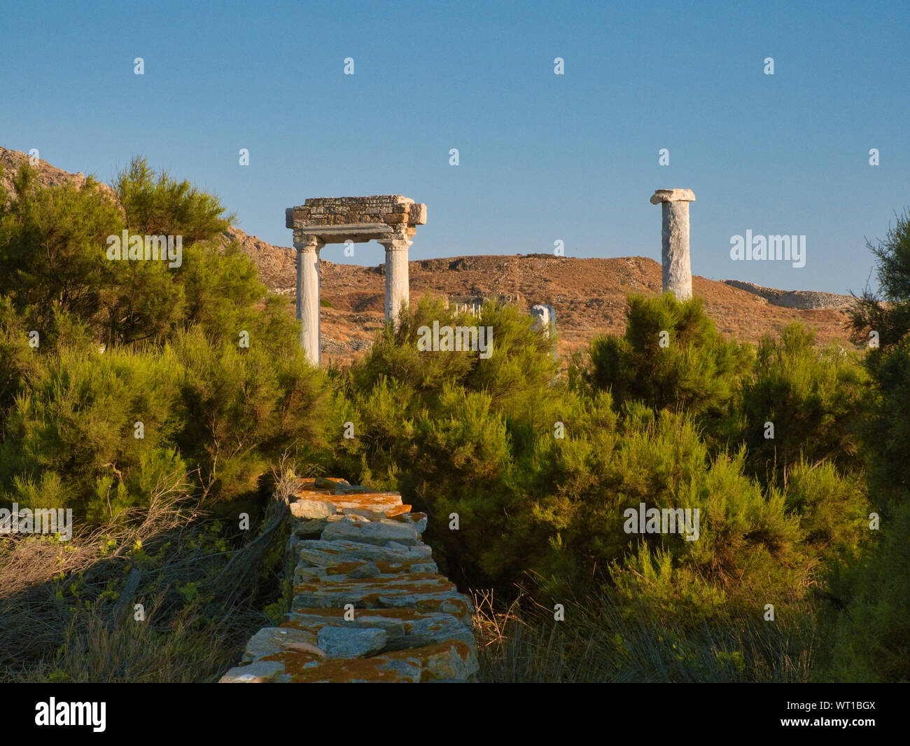 Wunderschöne Landschaft mit grünen Bäumen und Säulen blieb von der antiken Stadt auf Delos in Griechenland an einem sonnigen Tag Stockfoto