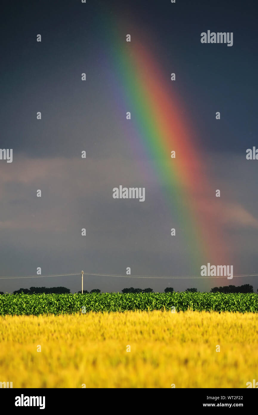 Idyllischen Blick auf Regenbogen über Feld gegen Sky Stockfoto
