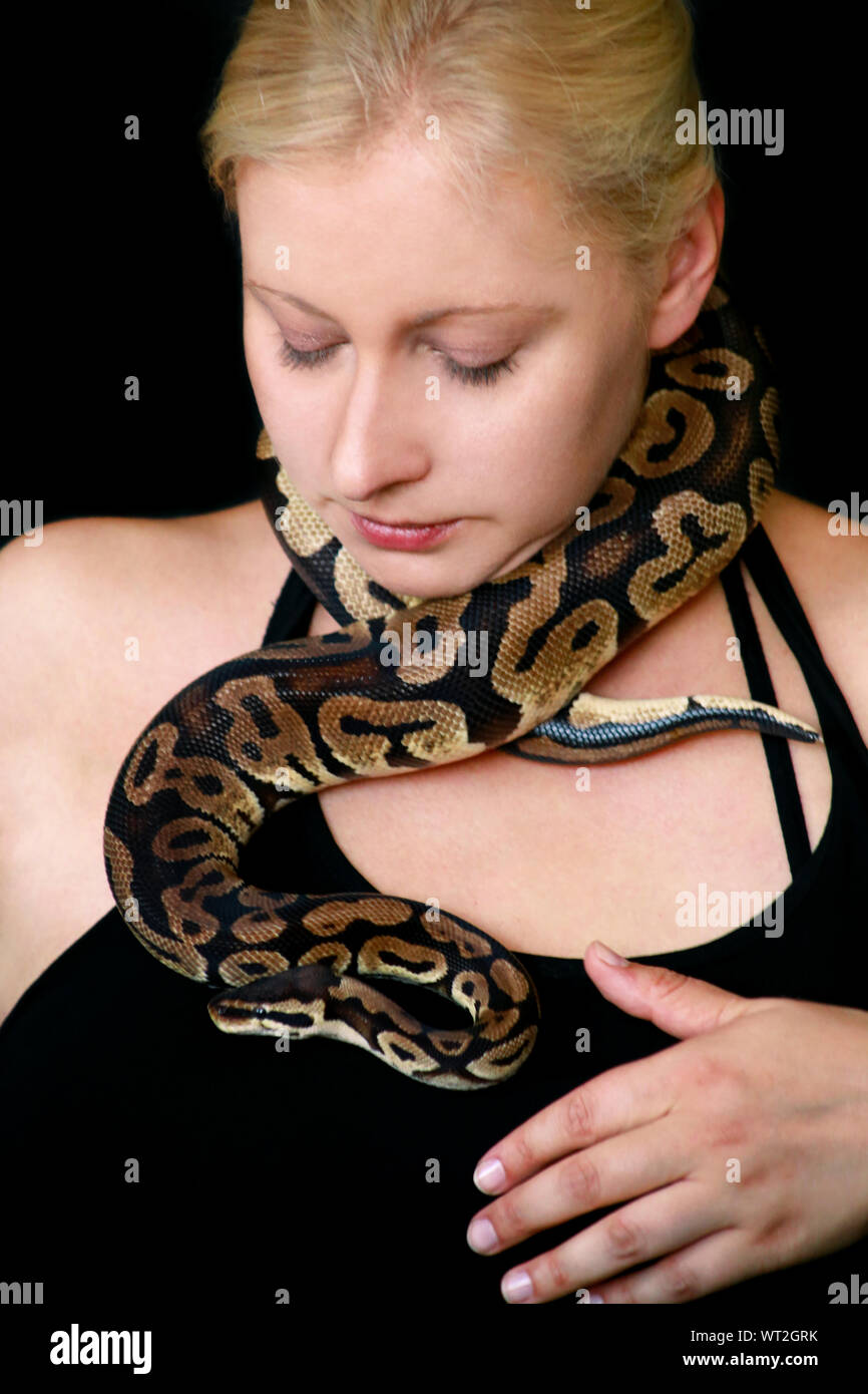 Portrait von Mädchen mit Royal Python Schlange. Frau hält Ball Python Schlange um den Hals und in den Händen, vor der Kamera posieren. Stockfoto