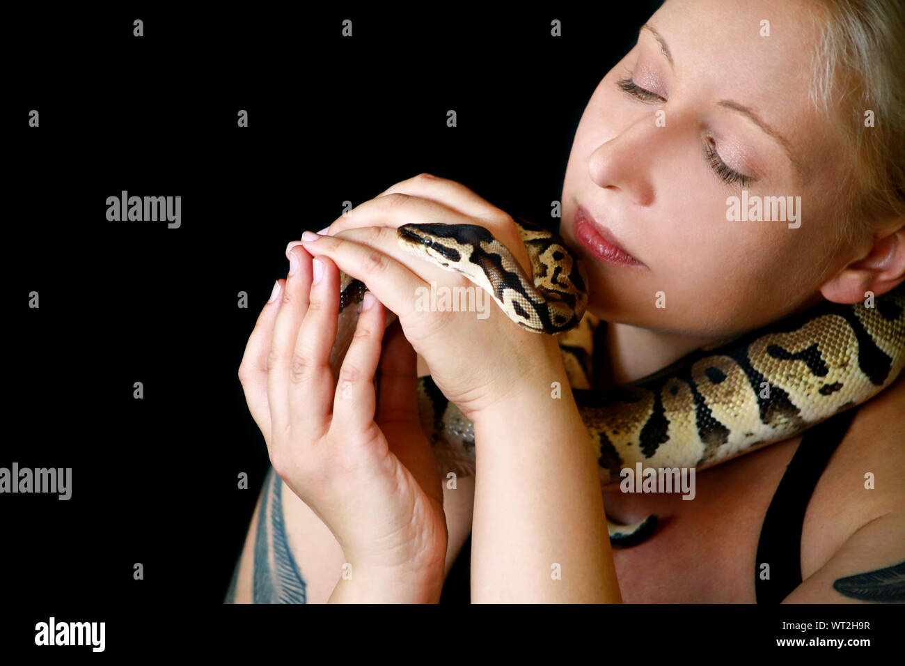 Portrait von Mädchen mit Royal Python Schlange. Frau hält Ball Python Schlange um den Hals und in den Händen, vor der Kamera posieren. Stockfoto