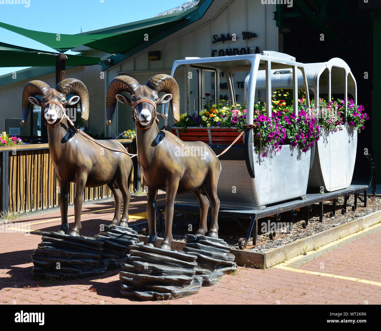 Erste Generation Kabinen von 1959 zu 1982 auf der Banff Sulphur Mountain Gondola. Ich denke nicht, dass Sie die Tiere an die Macht des Systems verwendet. Stockfoto