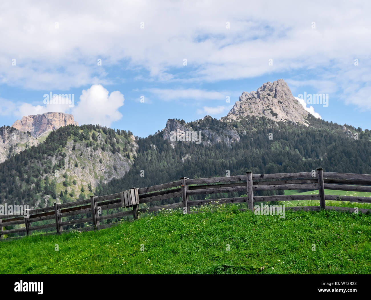 Allgemeine Dolomit Alpen im Hintergrund. Rocky Mountains in der Nähe von Selva di Val Gardena, Südtirol, Südtirol. Keine Personen, ideal Hintergrund. Stockfoto