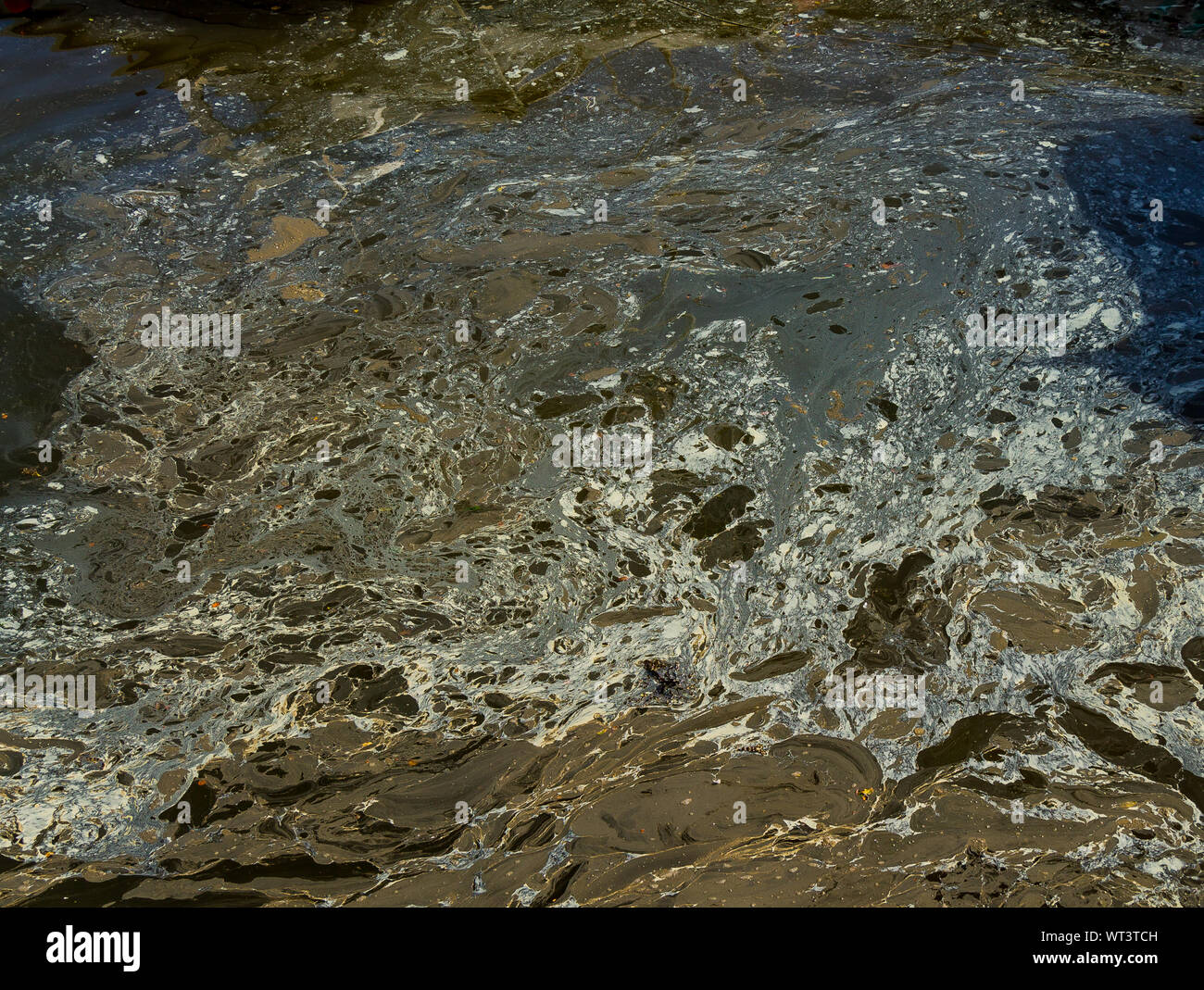 Ölteppich schwimmende auf Meer Oberfläche Stockfoto