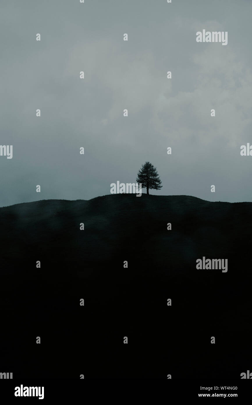 Eine minimale Single einsamer Baum hügel landschaft Horizont mit Cloud-letzte Baum stehend Stockfoto