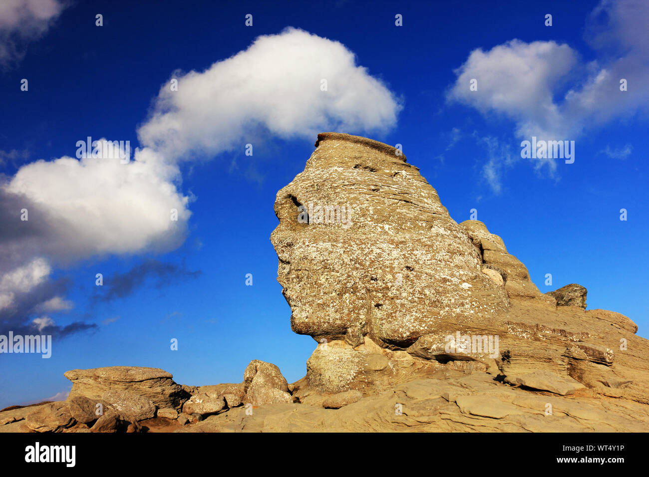 Sphinx von Felsformationen auf Bucegi Naturpark Stockfoto