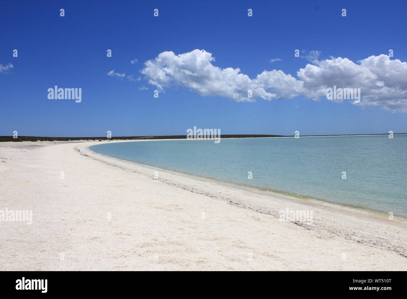 Shell Beach in Shark Bay, Western Australia. Strand aus Muscheln statt Sand, wegen der hohen Salzgehalt, der weichtiere Leben nur für 18 Monate. Stockfoto