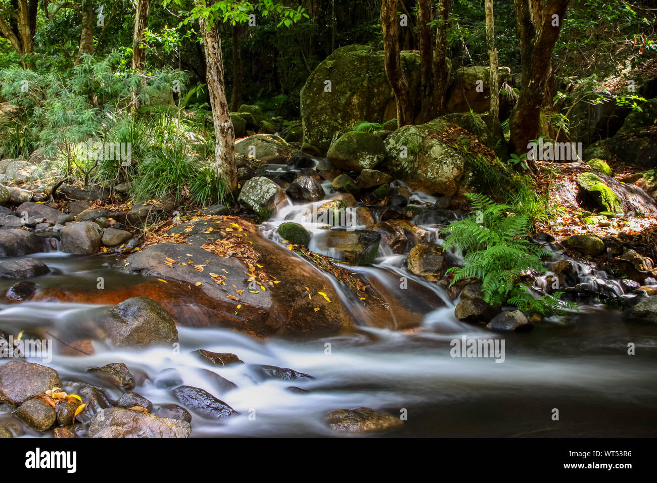 Cascade in den Regenwald, Jourama Falls, Paluma Range National Park, Queensland, Australien Stockfoto