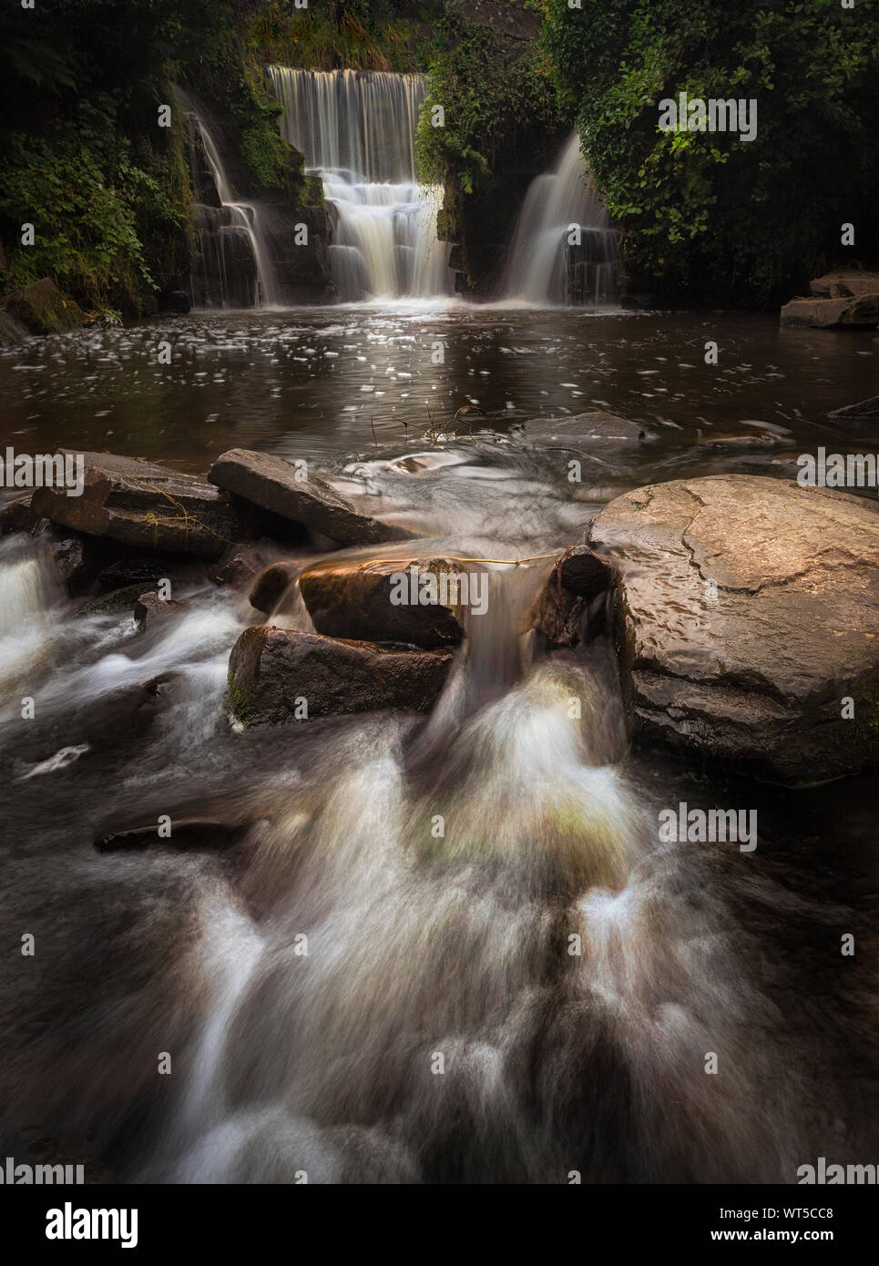 Penllergare Tal Wald Wasserfall Stockfoto