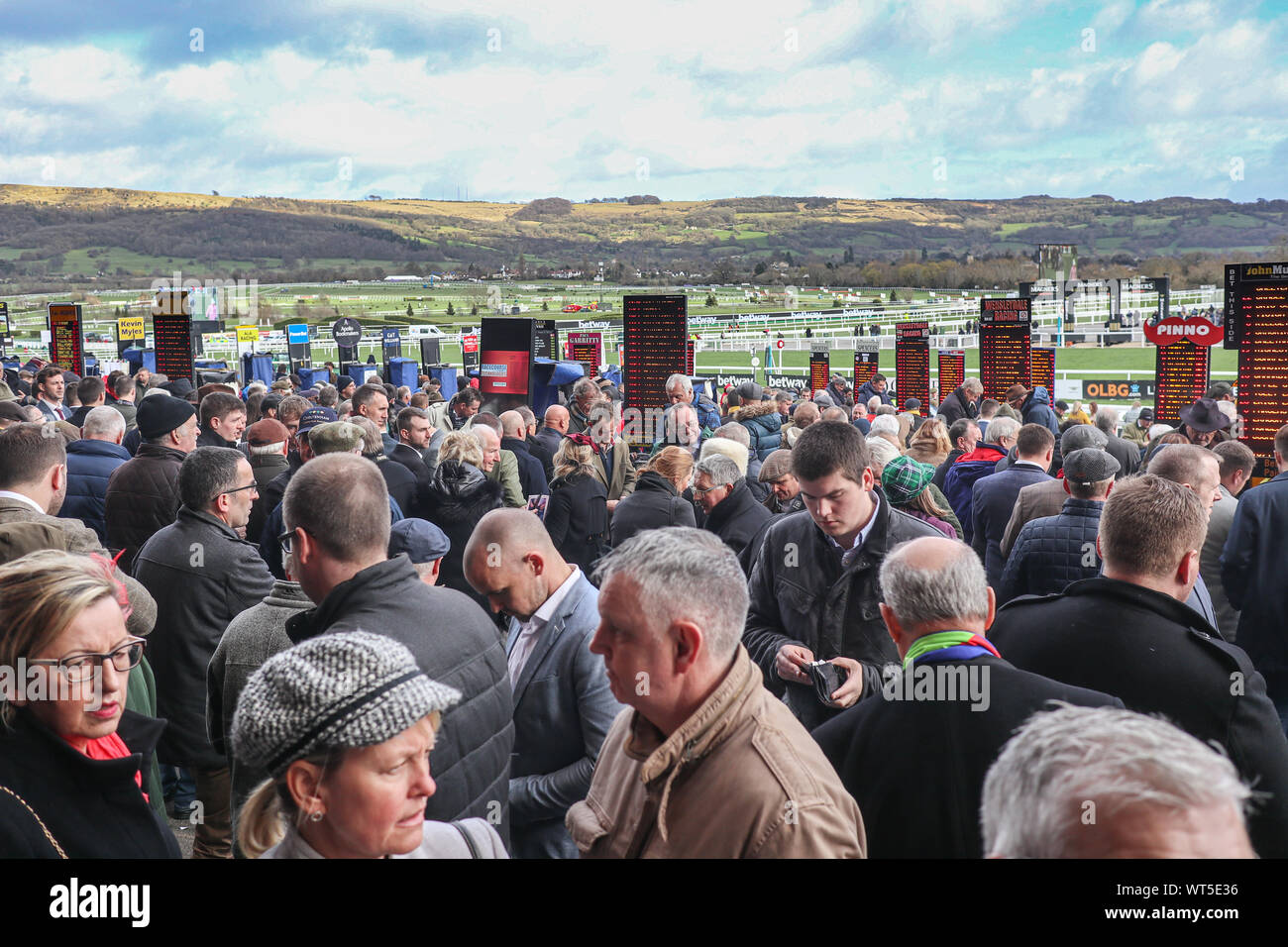 Menschenmassen versammeln sich am weltberühmten Cheltenham Festival. Der britische Premier National Hunt Rennen treffen und ein Mekka für eine Armee von Reisen Irish fans Stockfoto