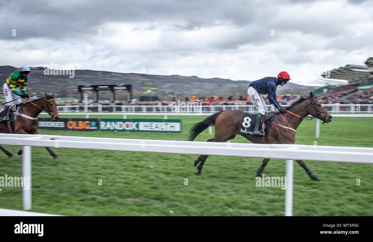 Pferde Rennen die Ziellinie beim Cheltenham Festival. Der britische Premier National Hunt Rennen treffen und ein Mekka für eine Armee von Reisen Irish fans Stockfoto